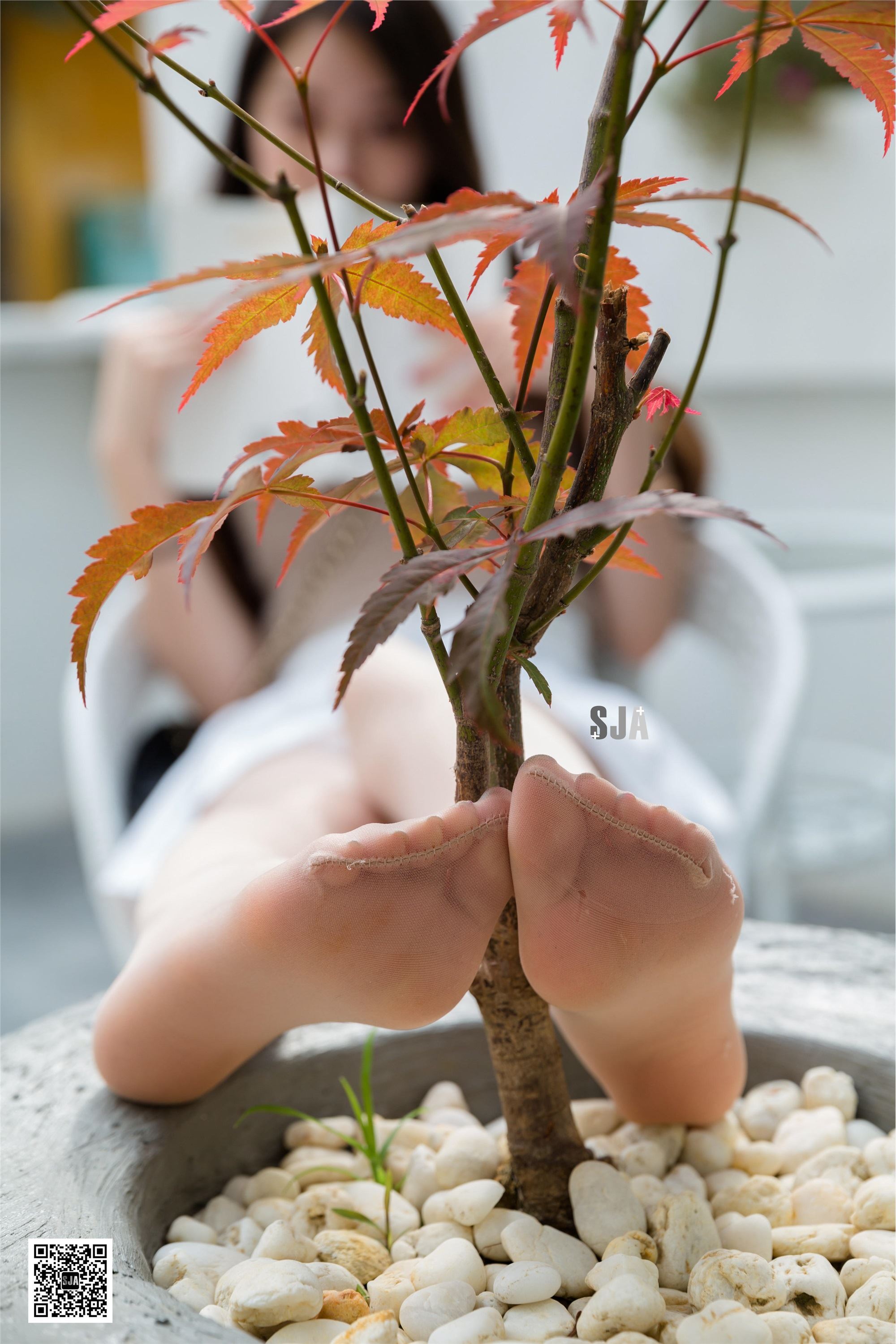 SJA佳爷 闺蜜视角 NO.064 柔